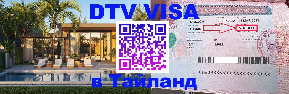 Оформление DTV визы под ключ: стоимость и тарифы, только загранпаспорт - 19.11.2025 